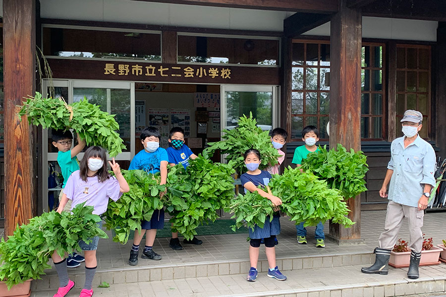 写真：事例