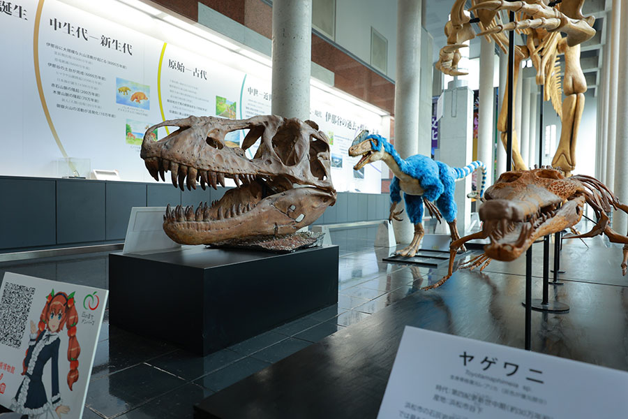 写真：飯田市美術博物館